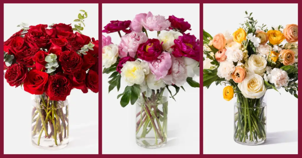 Valentines Flowers Guide